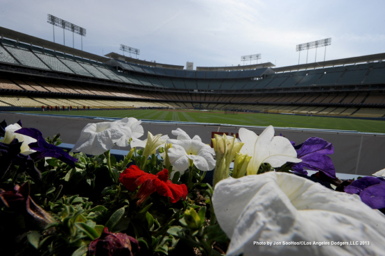 LOS ANGELES ANGELS VS LOS ANGELES DODGERS