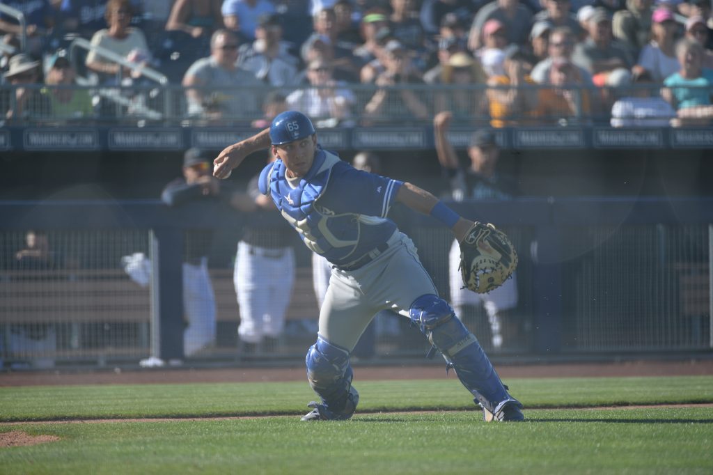 Austin Barnes in action during Spring Training (Jon SooHoo/Los Angeles Dodgers)